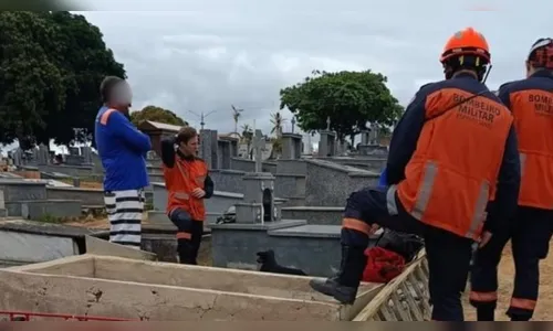 Homem morre após cair dentro do túmulo do próprio pai em cemitério no ES
