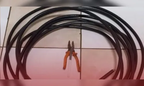 Morador flagra homem tentando furtar fios em propriedade rural de Apucarana