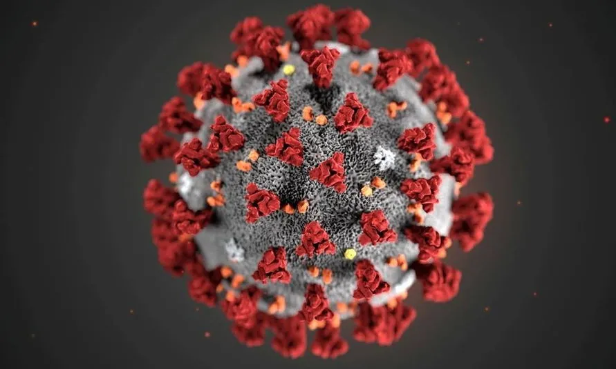 Somente a ciência pode dar uma resposta exata sobre a origem do novo coronavírus