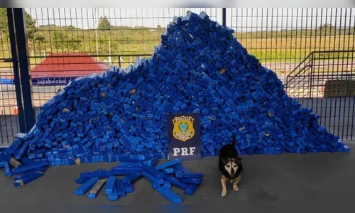 PRF encontra quase uma tonelada de maconha em meio a carga de sofás