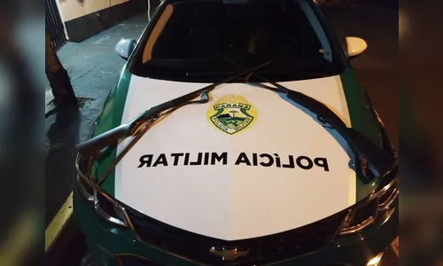 Polícia Ambiental apreende armas de fogo na casa de pescador, em Lunardelli