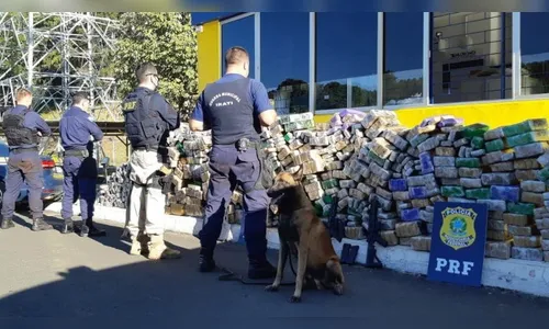 PRF e Guarda Municipal apreendem dois fuzis e 1,7 tonelada de maconha em Irati (PR)