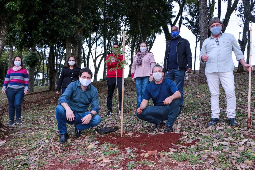 Equipe da Secretaria de Meio Ambiente promove plantio de árvores