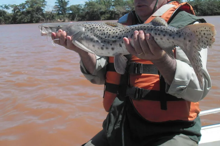 Pesca está liberada nas represas e lagos do Estado