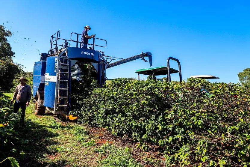 Mecanização incentiva retorno da cafeicultura em Apucarana