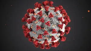 MPPR ajuíza ação civil para jovem suspeito de coronavírus