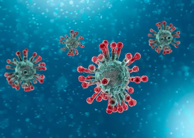 Oito novos casos de coronavírus são registrados em Apucarana