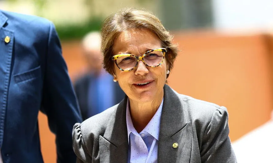 Ministra diz que Brasil pode intensificar produção sem derrubar árvore