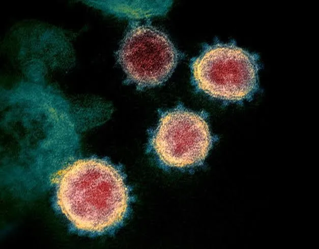 Arapongas confirma mais 22 casos de coronavírus