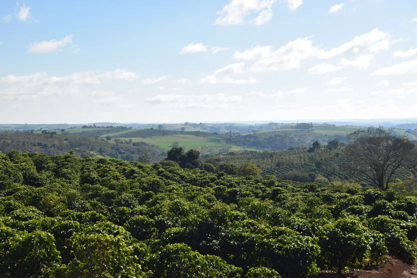 Região do Jacutinga, em Ivaiporã