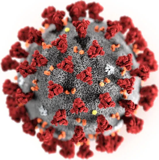 Arapongas confirma 23 novos casos de coronavírus