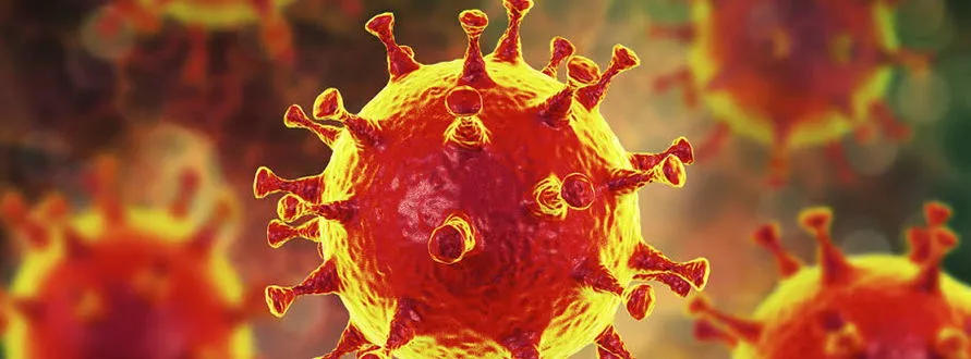 Apucarana tem cinco novos casos de coronavírus