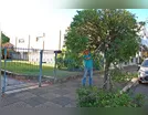 Faxinal executa segunda fase do projeto  “Arborização”