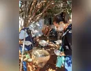 Prefeitura de Cambira realiza 'arrastão' contra dengue em distrito