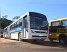 Ivaiporã vai testar ônibus articulado e reforçar transporte gratuito
