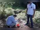 Em menos de um ano Paraná soma 212.074 casos de dengue