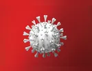 Cruzmaltina soma nove casos positivos de coronavírus