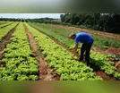 PROGRAMA ESTADUAL