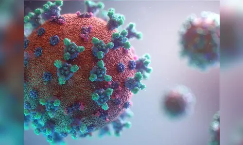 Número de curados da Covid-19 sobe para 33 em Arapongas