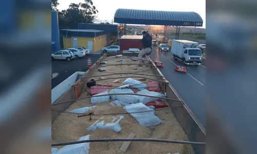 PRF apreende fardos de maconha escondidos em 30 toneladas de soja