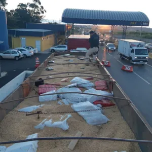 PRF apreende fardos de maconha escondidos em 30 toneladas de soja