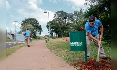 Prefeitura já instalou mais de mil lixeiras com novo padrão