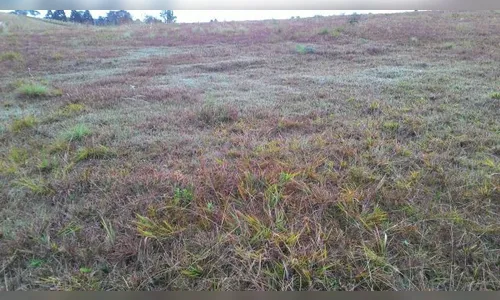 Segunda-feira pode gear na região dos Campos Gerais, diz Simepar