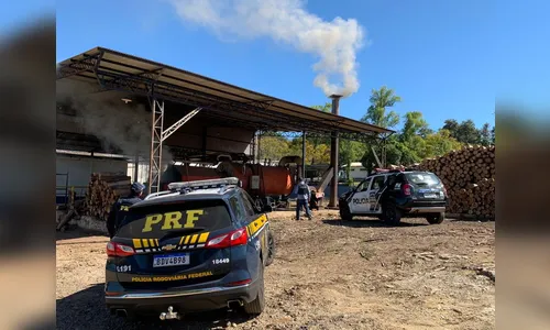 PRF e Polícia Civil realizaram a incineração de 250kg de maconha