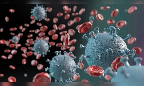 Mulheres são a maioria dos infectados por Covid 19 na região