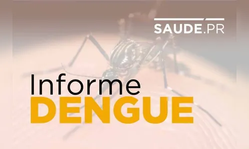 Estado sinaliza tendência de queda nos casos de dengue