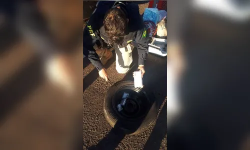 PRF encontra contrabando de celulares em estepe