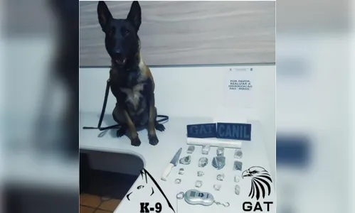 GM de Arapongas apreende maconha no Conjunto Palmares