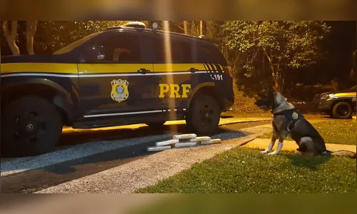 PRF apreende maconha, pistola, munição, celulares e relógios no Paraná