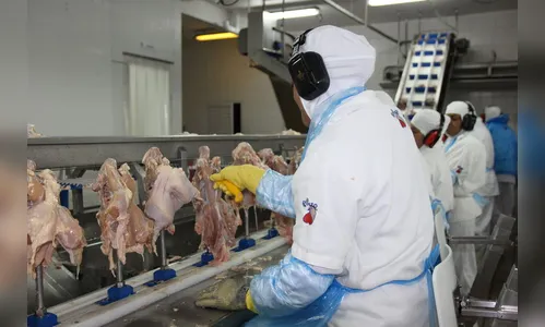 Abatedouro de Arapongas demite 125 trabalhadores