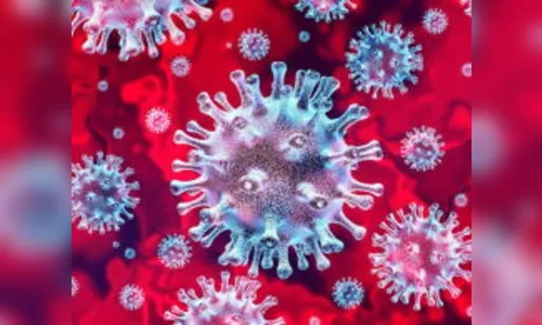 Veja o perfil dos 7 casos de Covid-19 registrados  em Arapongas