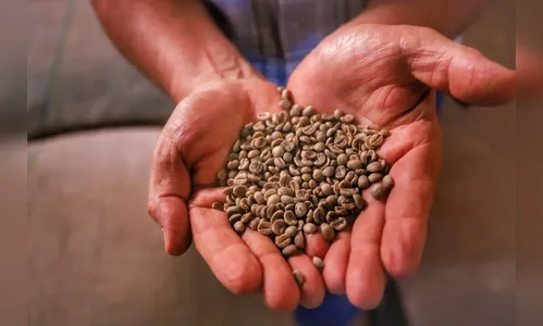 Concurso Café Qualidade Paraná abre período de inscrições