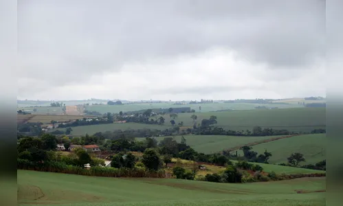 Chuvas beneficiam lavouras de trigo no Vale do Ivaí