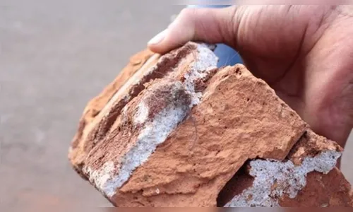 Homem acerta tijolo na cabeça do irmão e vai preso no Marcos Freire