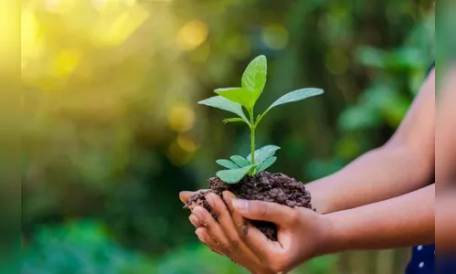 Arapongas destaca projetos no Dia Mundial do Meio Ambiente