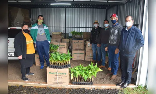 Agricultores de Jardim Alegre adquirem 2.2 mil mudas de bananeira