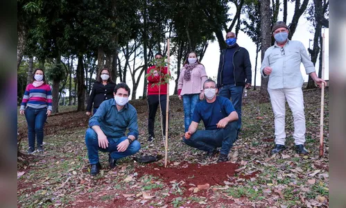 Dia do Meio Ambiente é comemorado com plantio de árvores no Jaboti