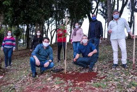 Equipe da Secretaria de Meio Ambiente promove plantio de árvores