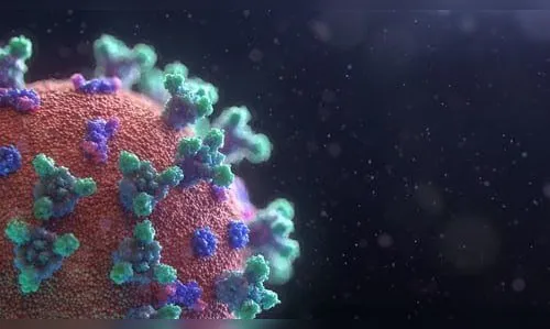 Apucarana segue com 11 casos de coronavírus em investigação