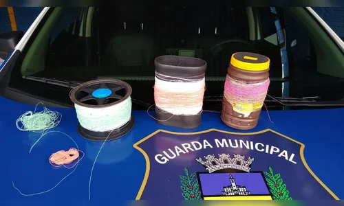 GM de Apucarana apreende linhas de pipa com cerol