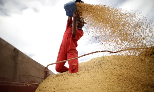 Capacidade de armazenagem agrícola chega a 177,7 milhões de toneladas