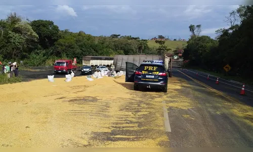 Motorista sofre ferimentos após tombar caminhão na BR-376