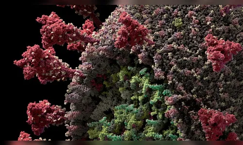 Apucarana registra quarta morte por coronavírus