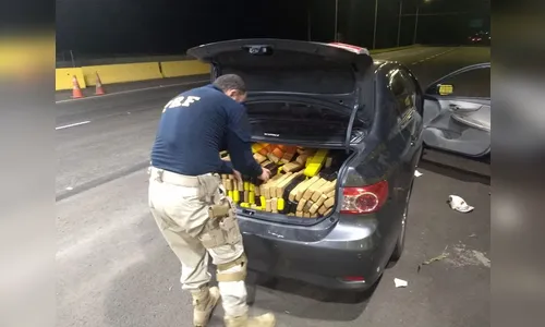 PRF apreende quase 300 quilos de maconha, em Jandaia do Sul