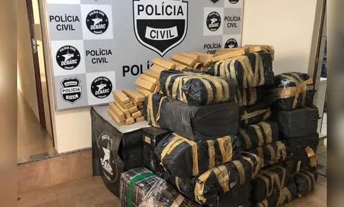 PCPR apreende 19% mais maconha nos primeiros cinco meses de 2020