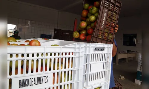 Bancos de Alimentos da Ceasa já distribuiu 970 toneladas neste ano